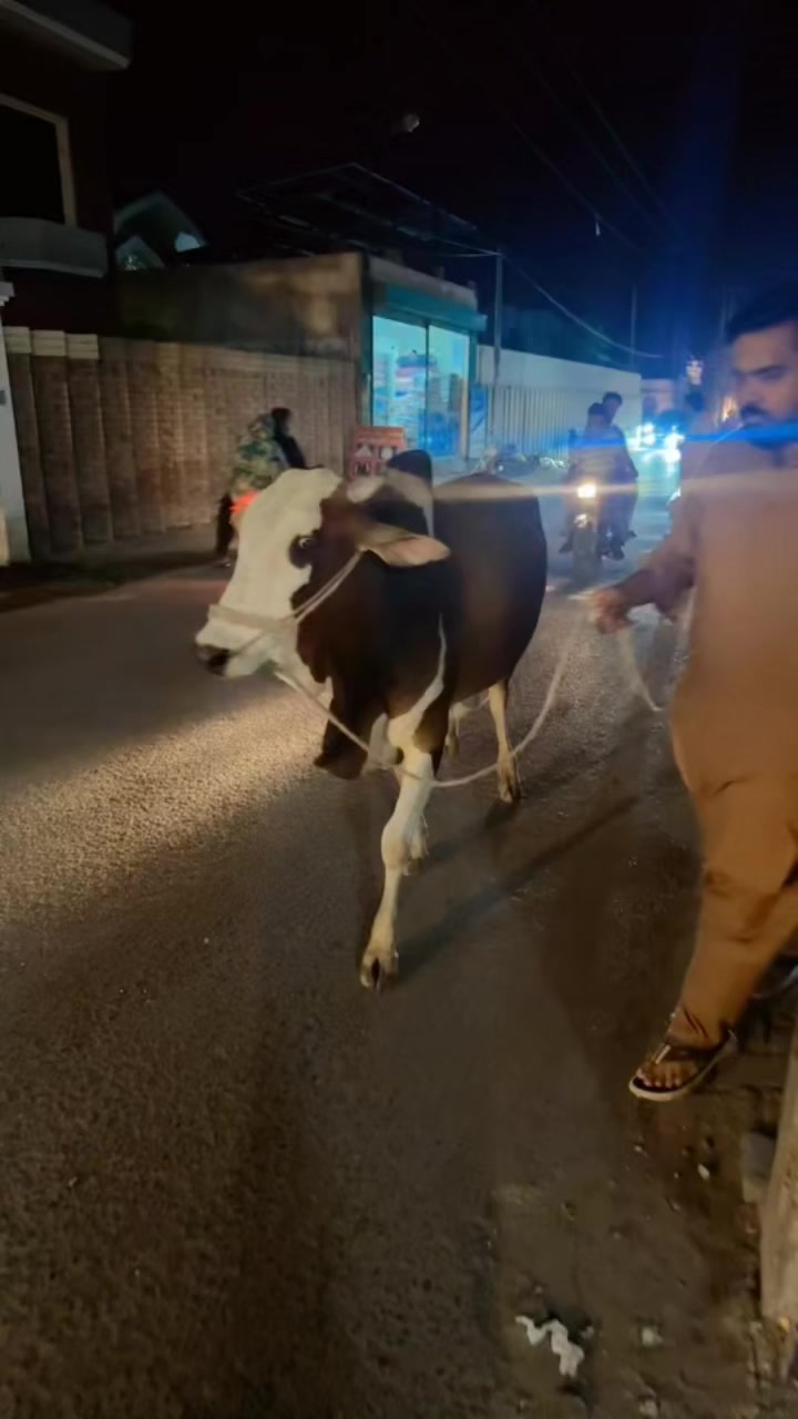 @Gumnaam🤷🏻&zwj;♂️