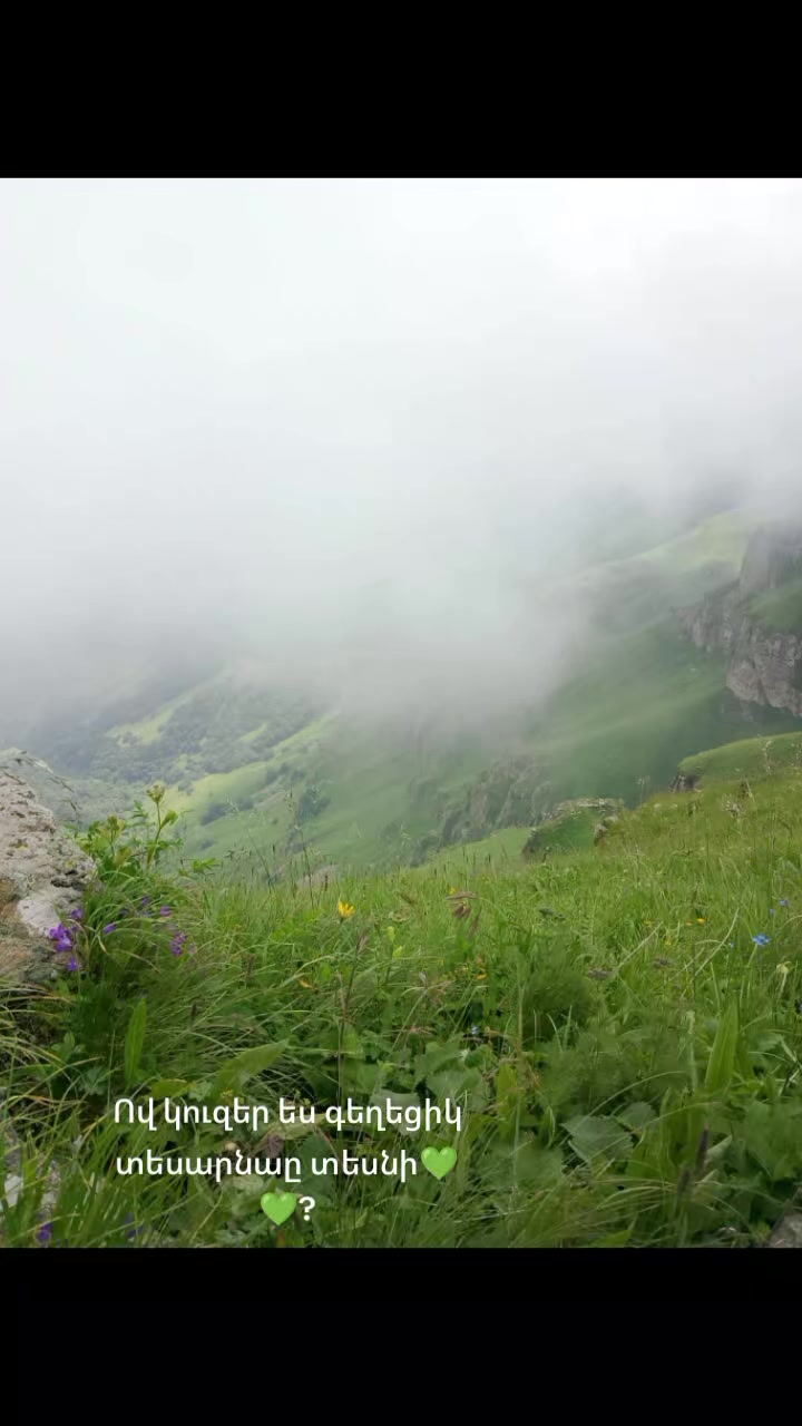 @Վաչե Գևորգյան