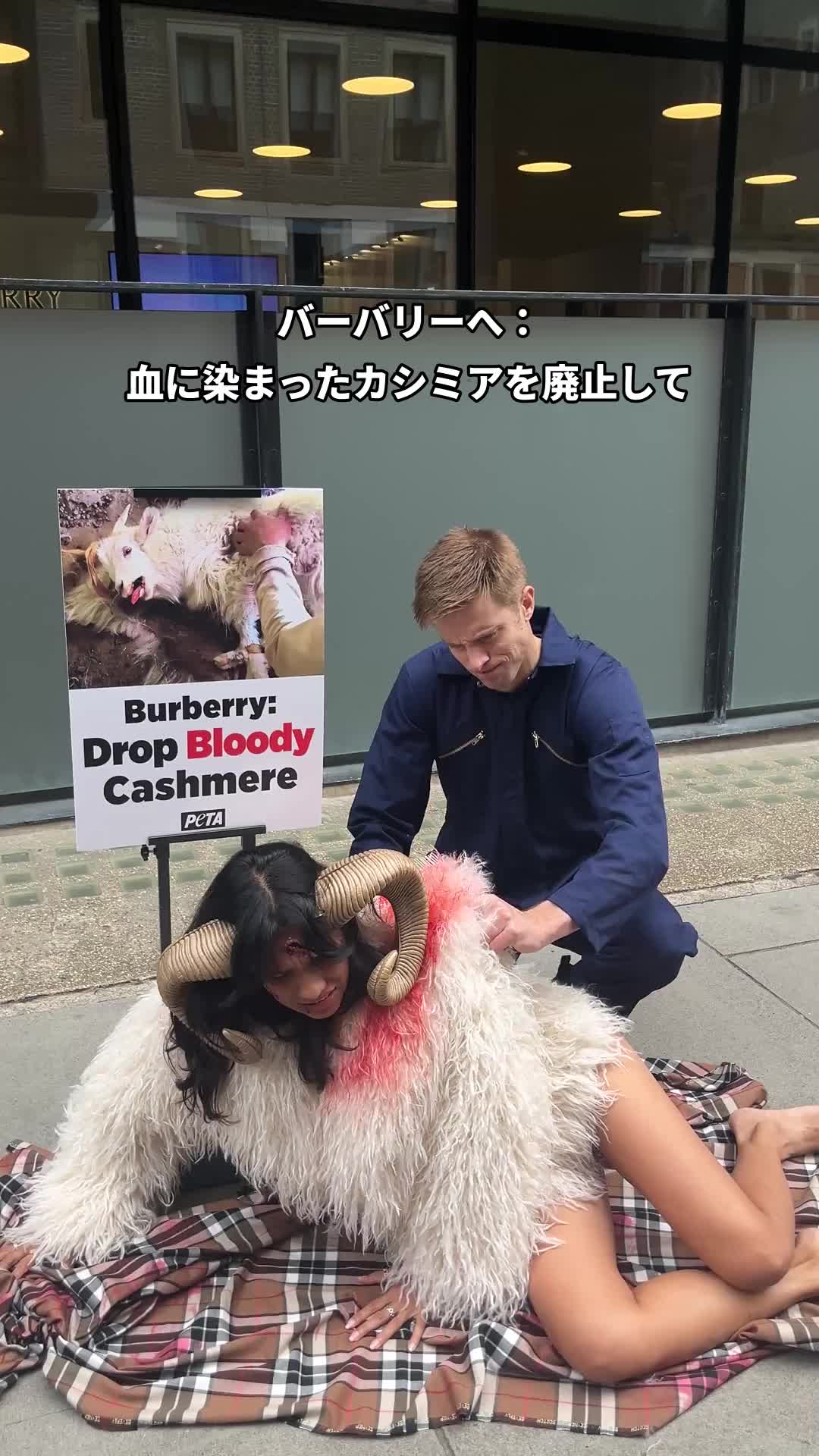 @PETAアジア 動物の倫理的扱いを求める人々の会 JAPAN