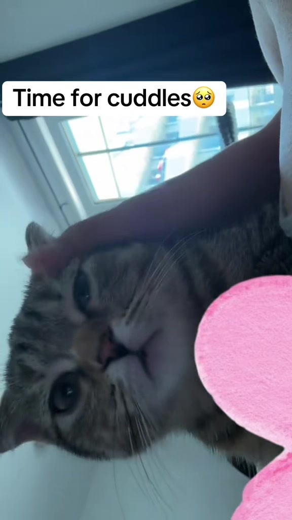 @Divaurteilt