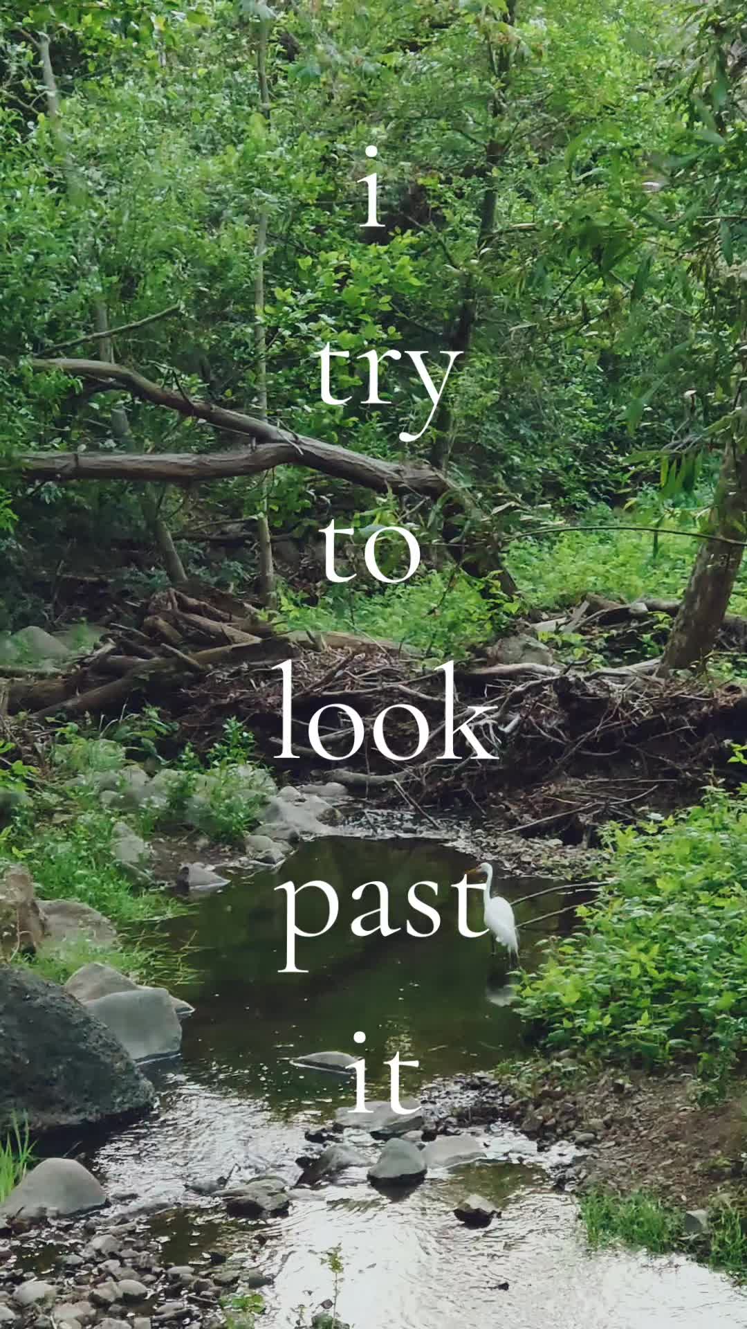@ᥫ᭡