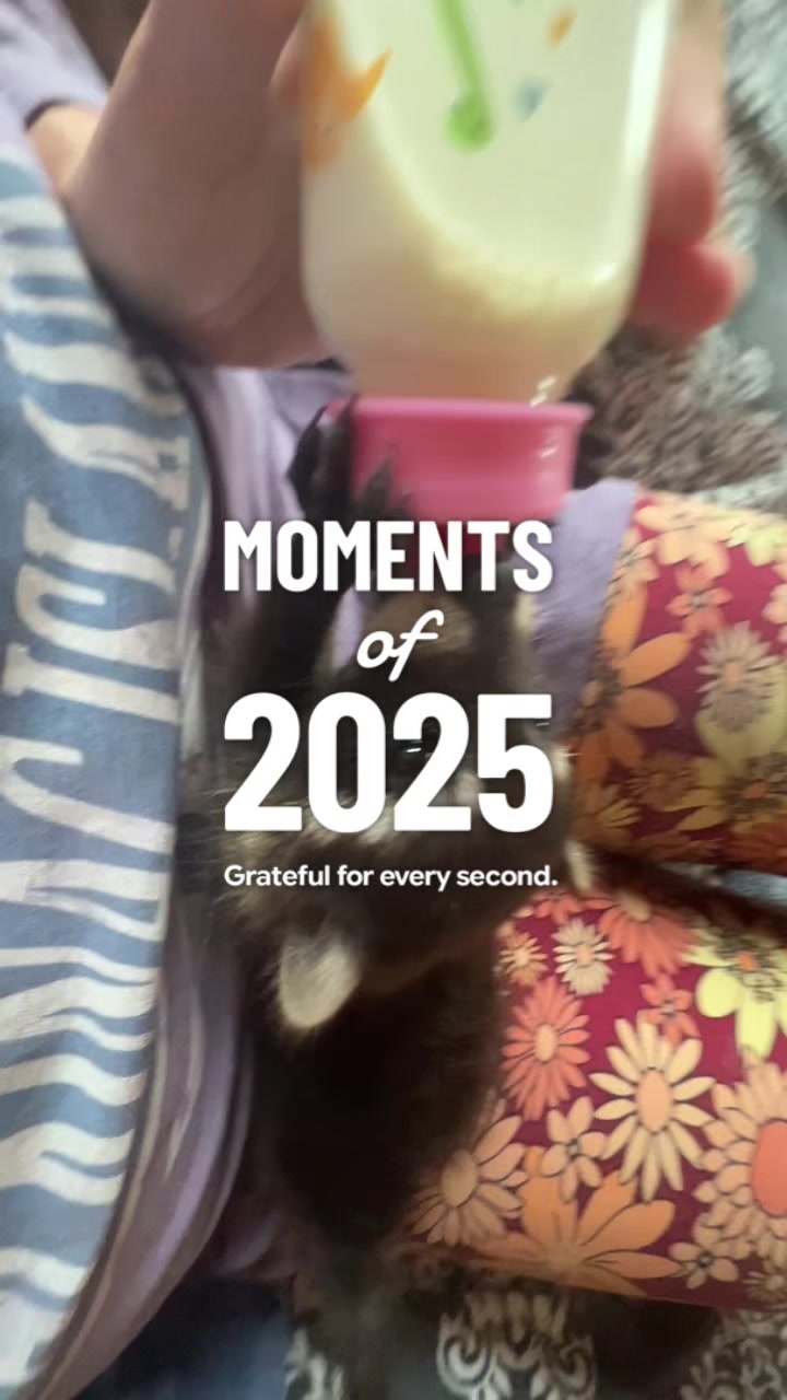 @BushBabyTheRaccoon