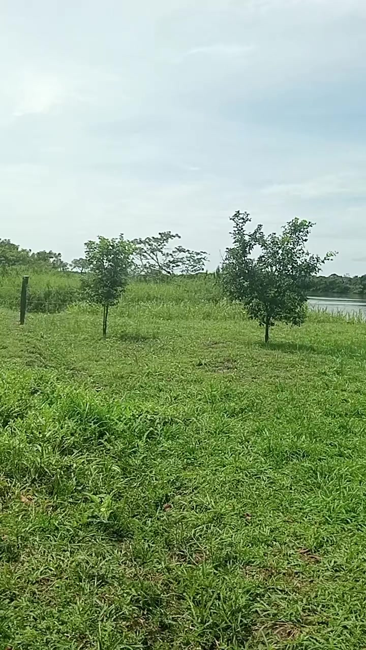 @luiswayasi.