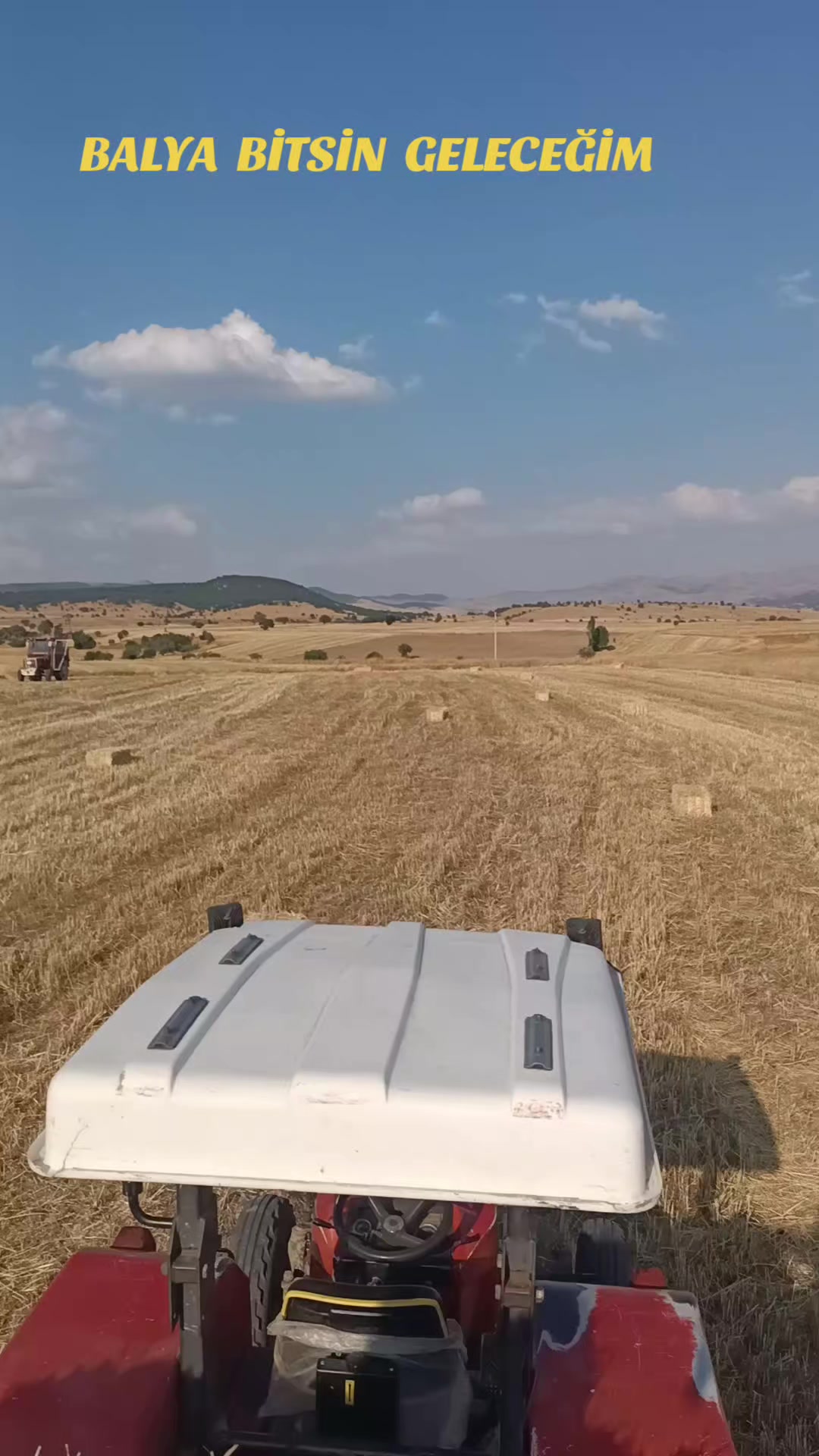 @Ali Özok