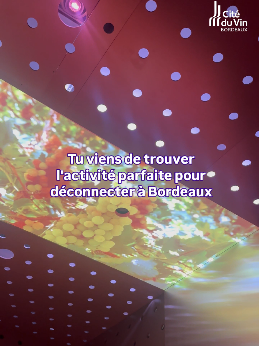 @La Cit&eacute; du Vin