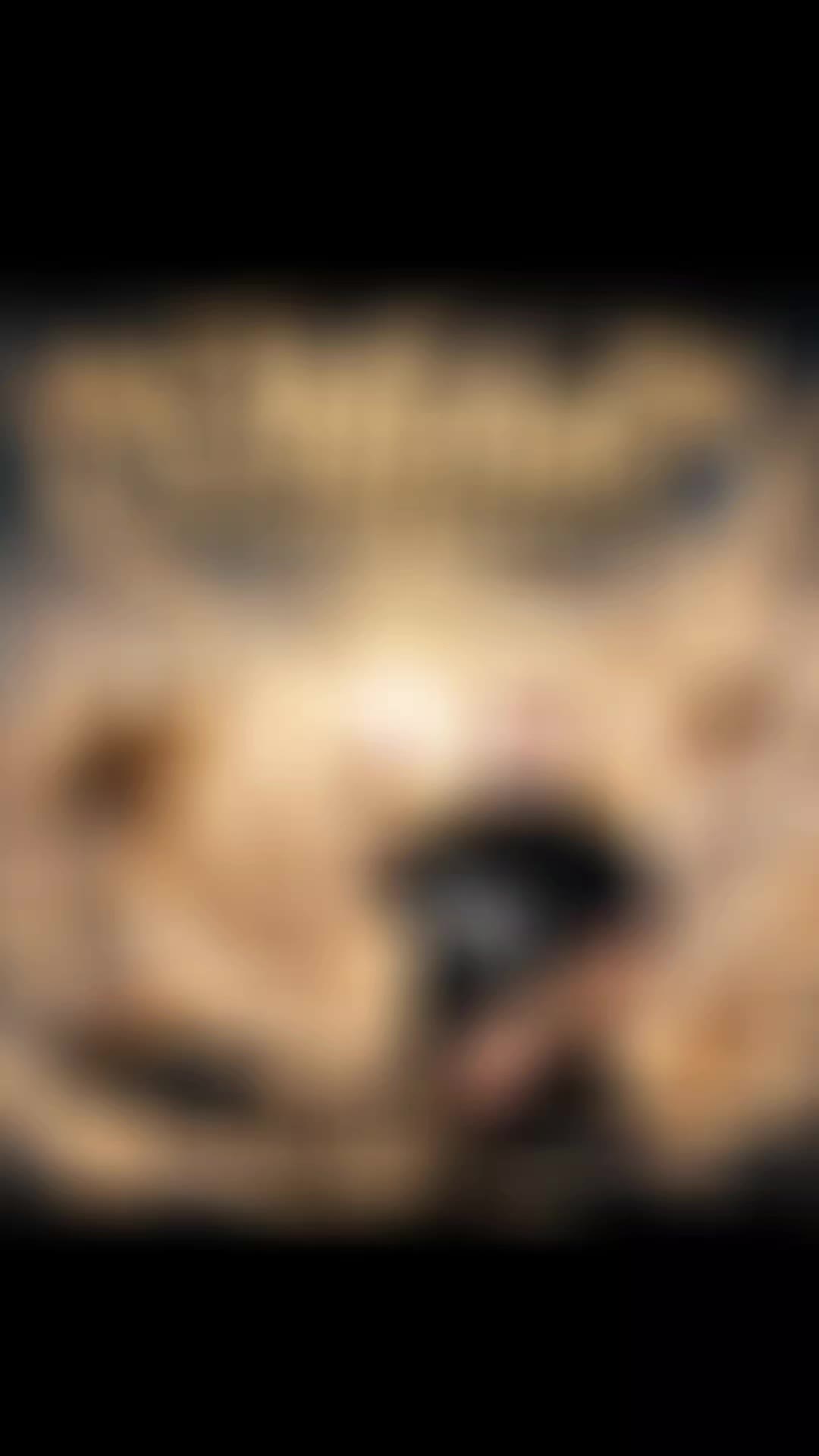 @ᴰʲ𝘼𝙉𝘿𝙍𝙐 ˢᵉᵛᵉⁿᵗʸ ⁿⁱⁿᵉ 🔹️