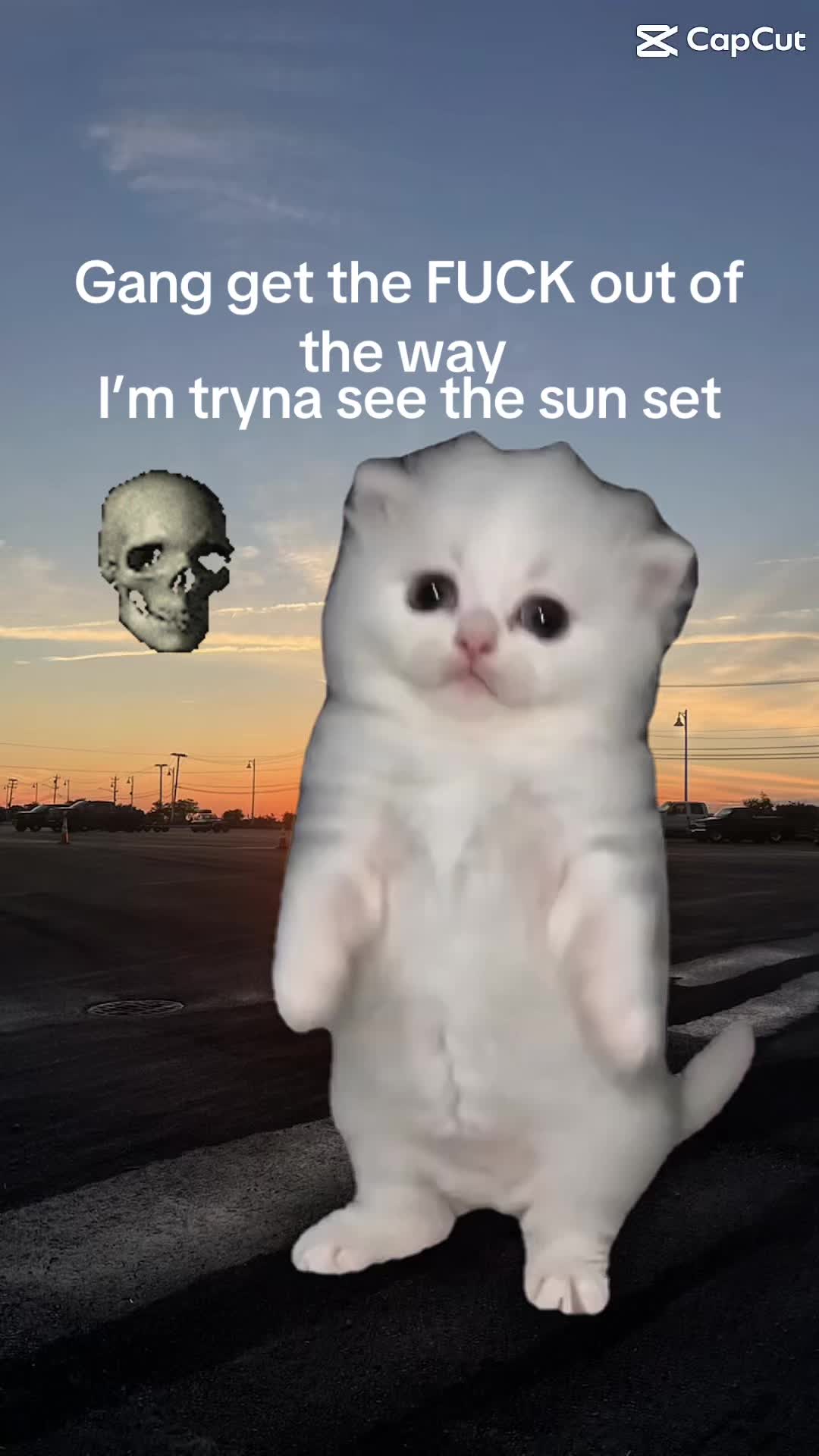 @ 💤