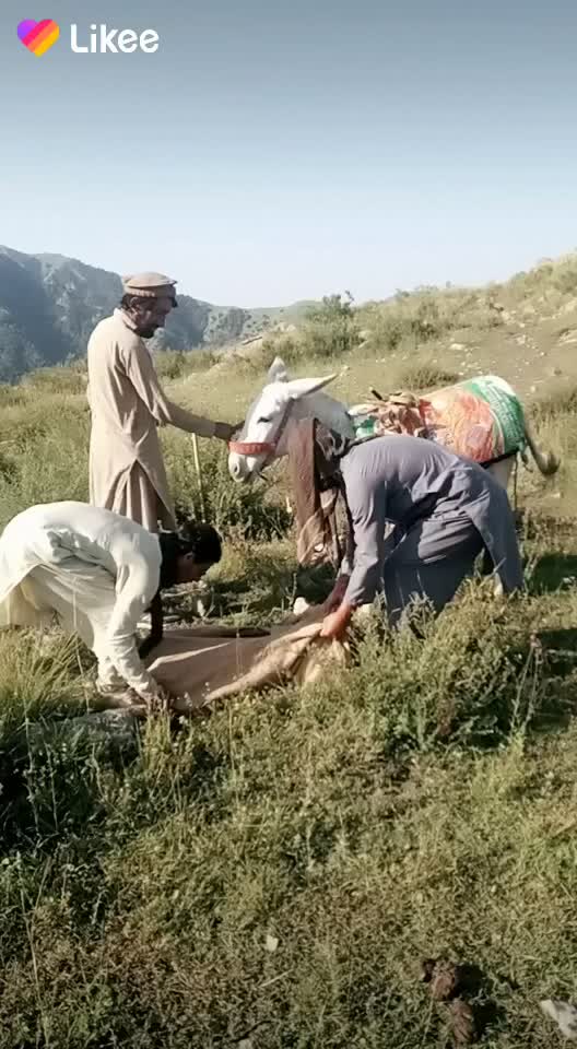 @Usman Dewana