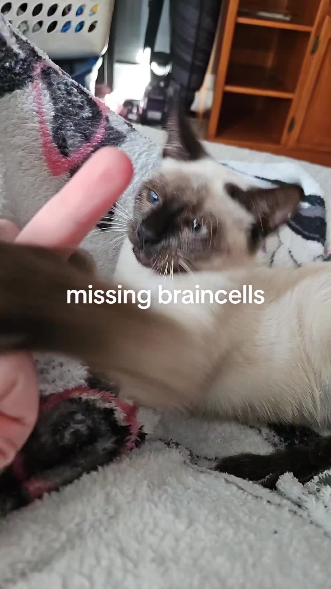 @Ash_MP