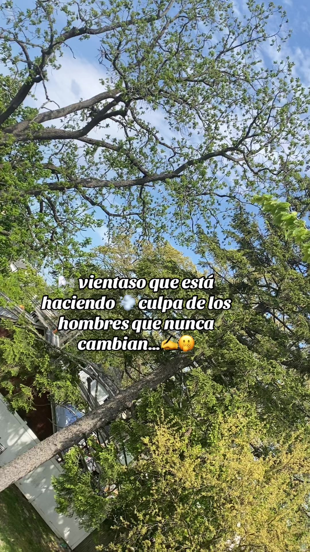@💛Bonita_Girasol91