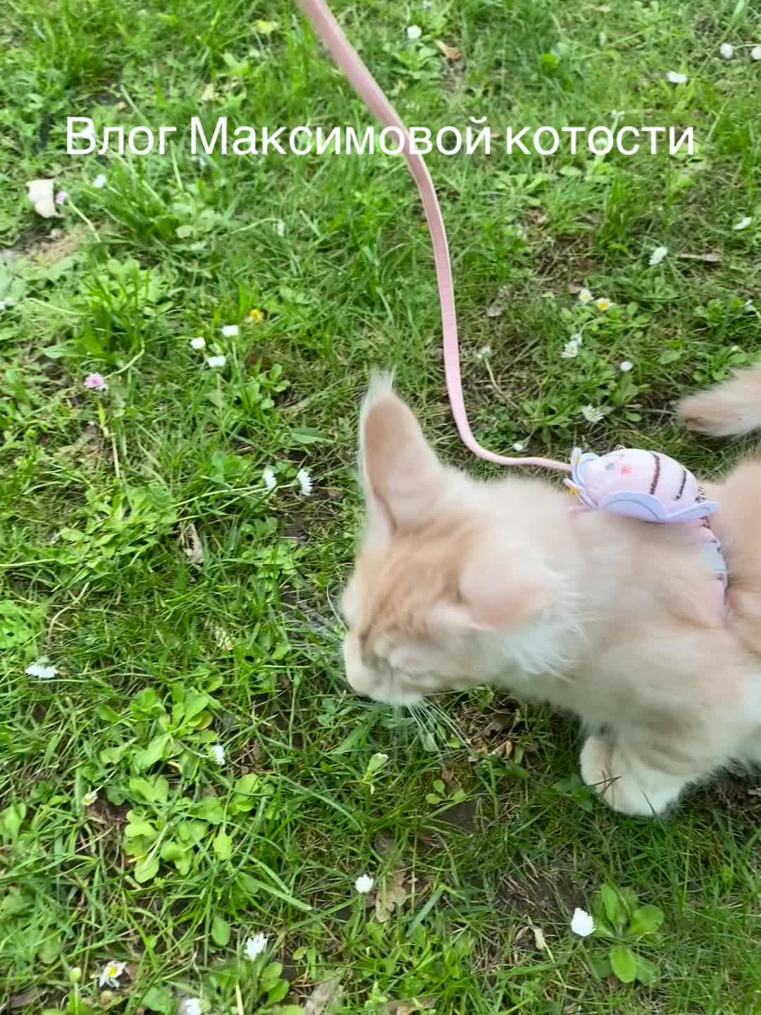 @O