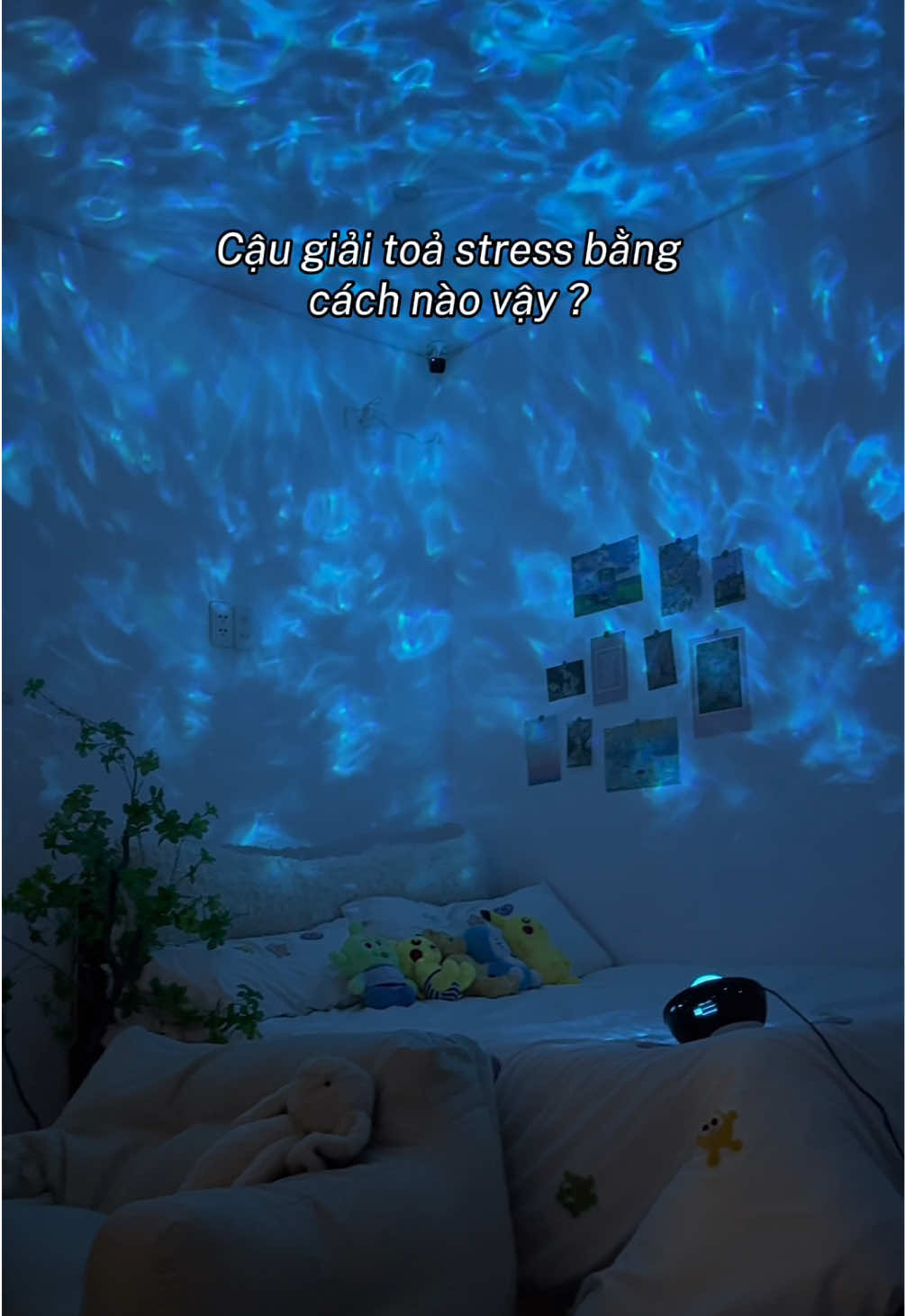 @Vua Đèn Led