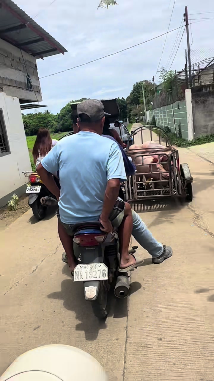 @Enzo