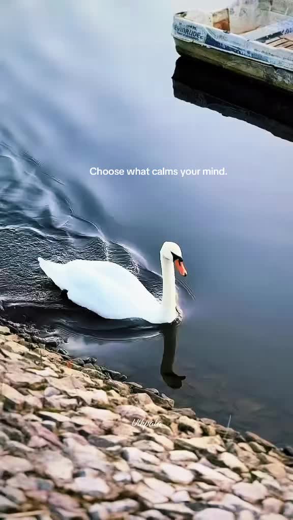 @Uthpala_🇱🇰🇬🇧
