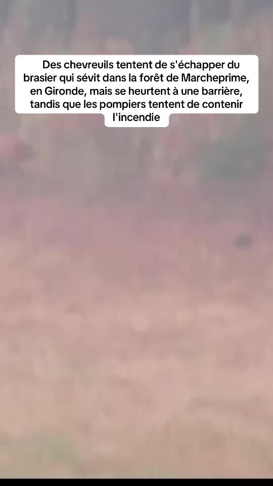 @LaLegendedu13