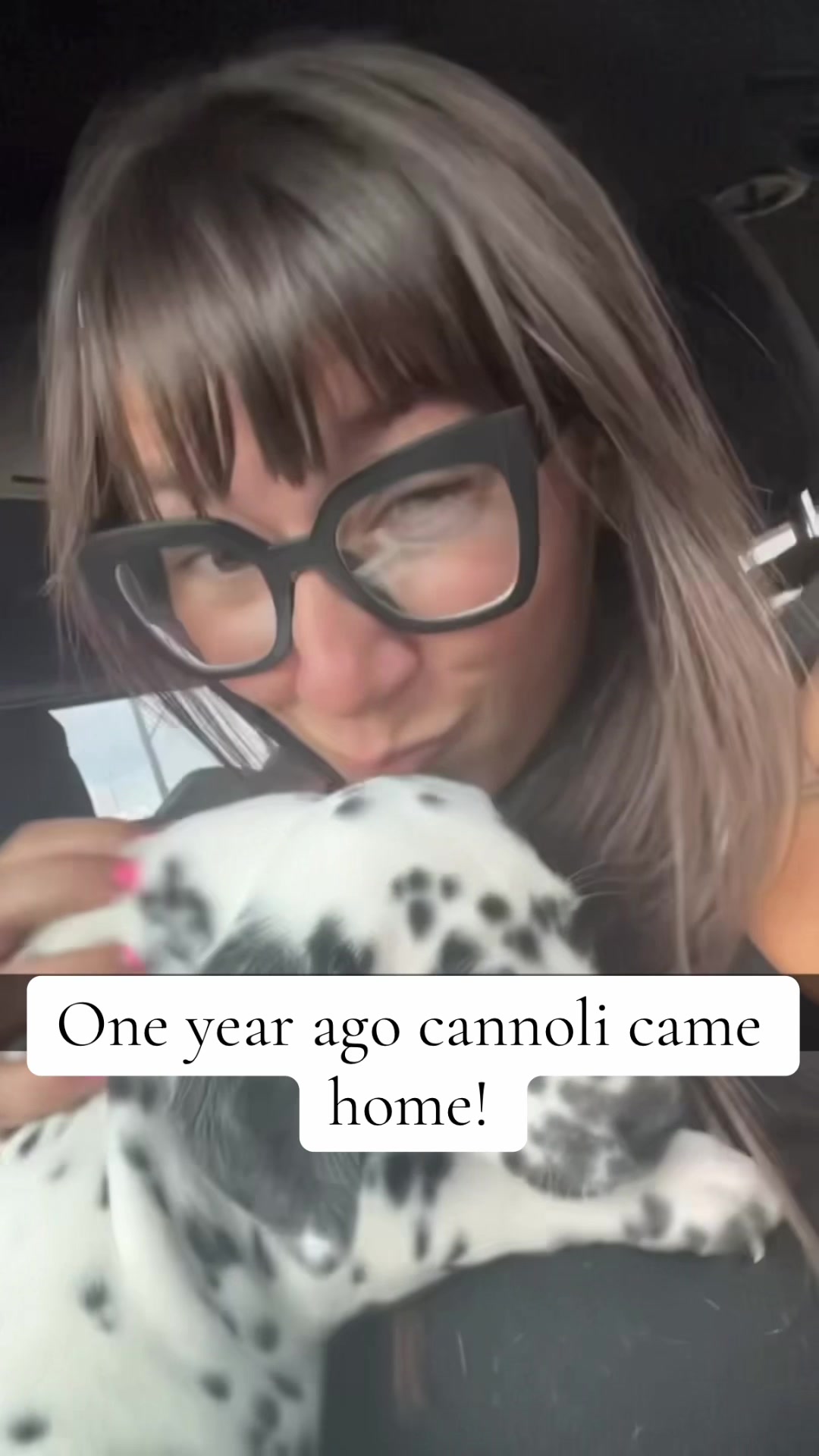 @Cannoli