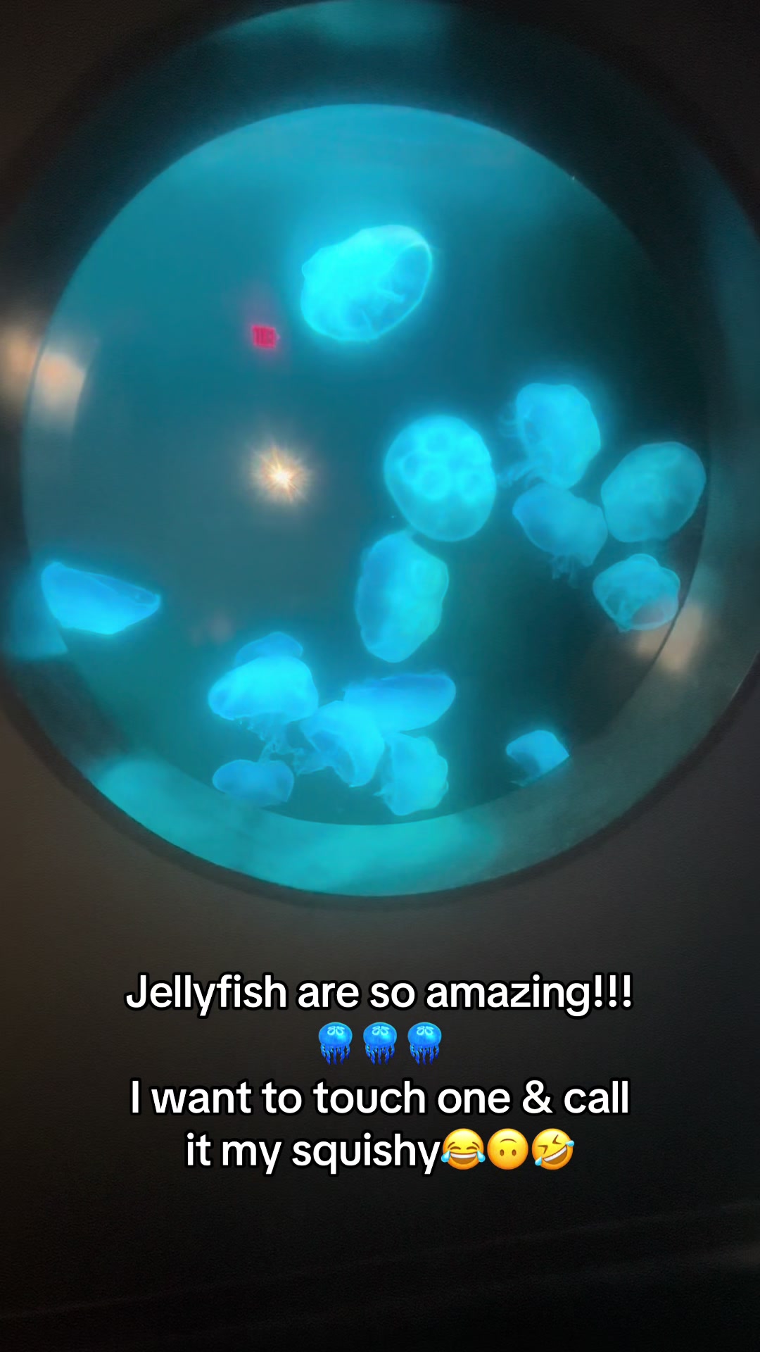@crowmama_11