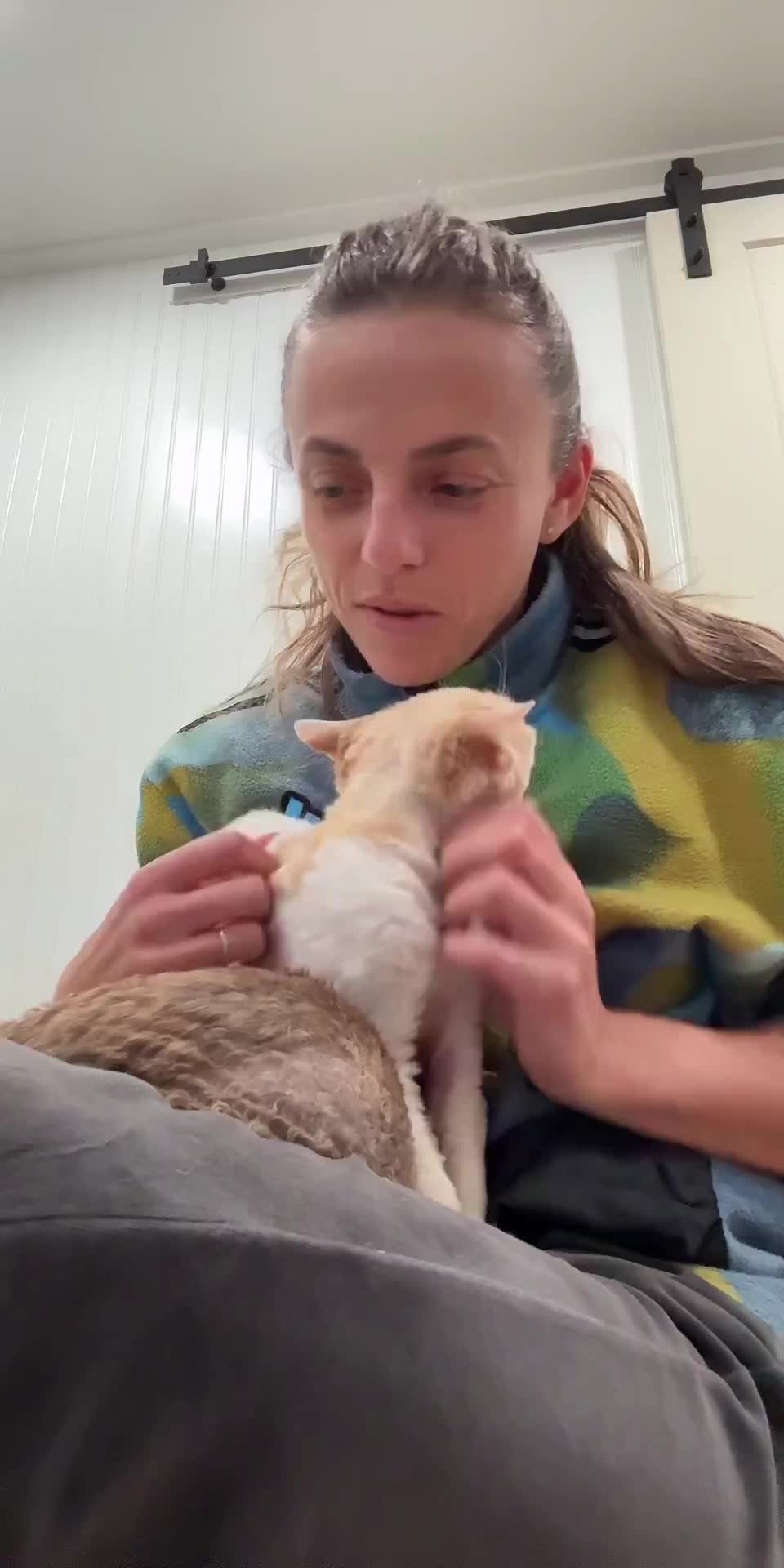 @Curlslux cattery!!๐บ๐ธ