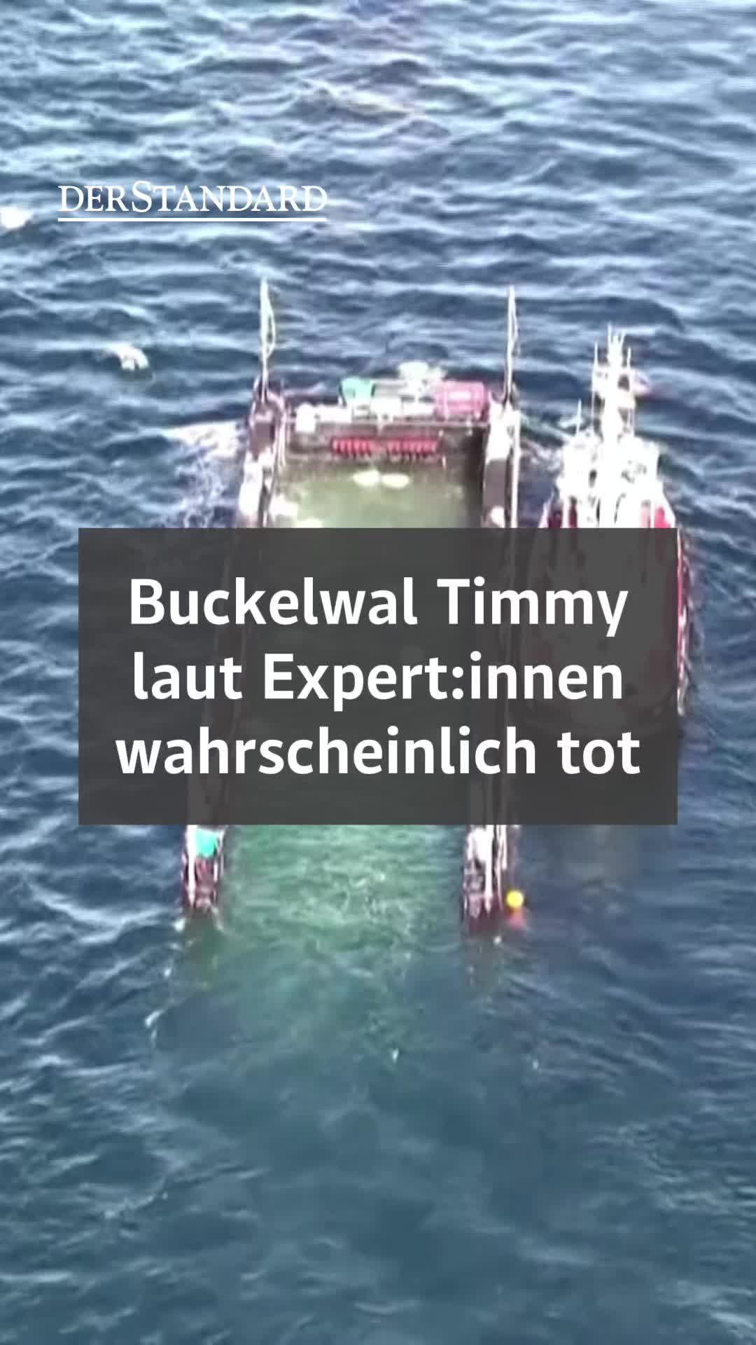 @DER STANDARD News