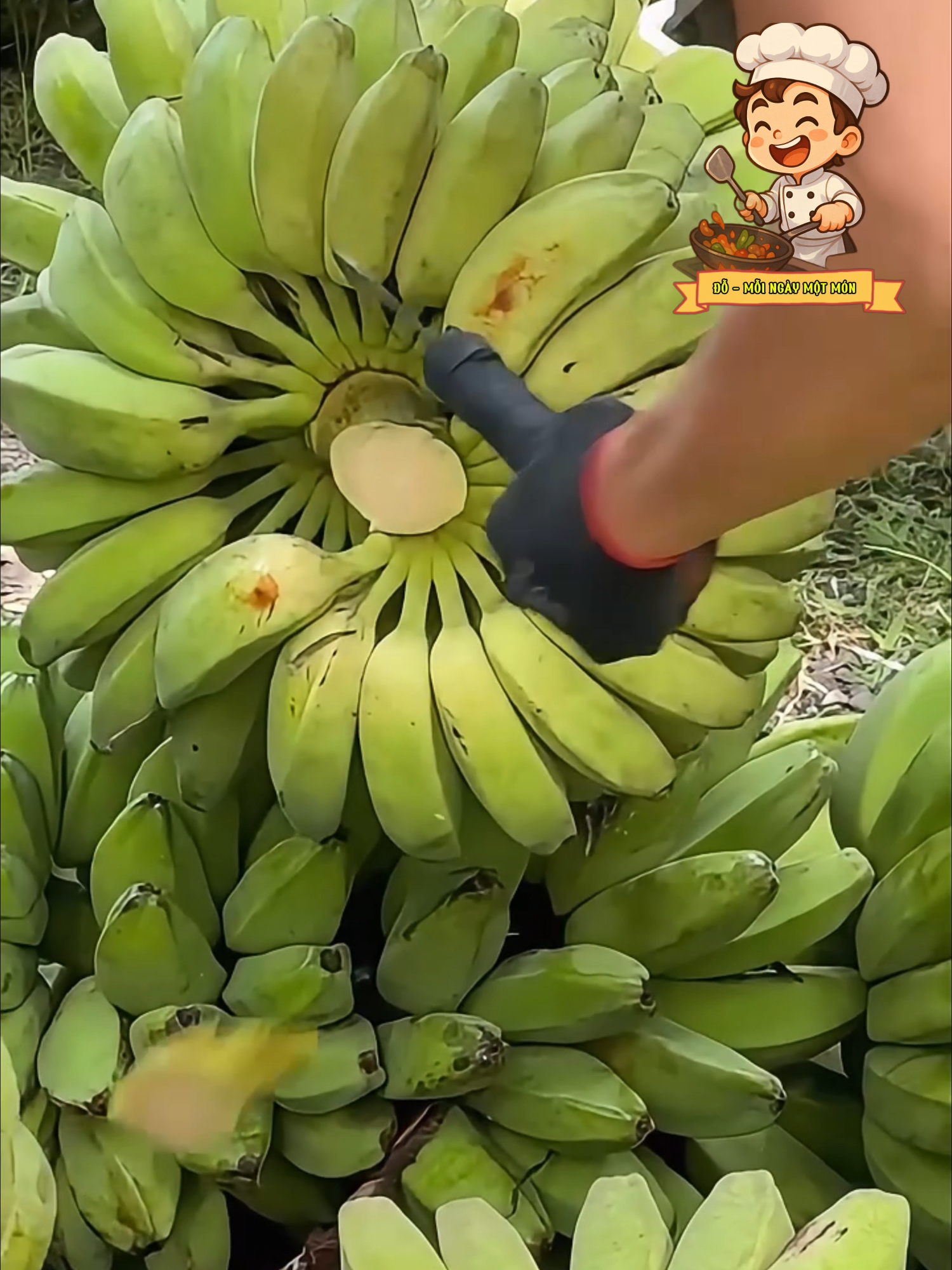 @Đỗ - Mỗi Ng&agrave;y Một M&oacute;n