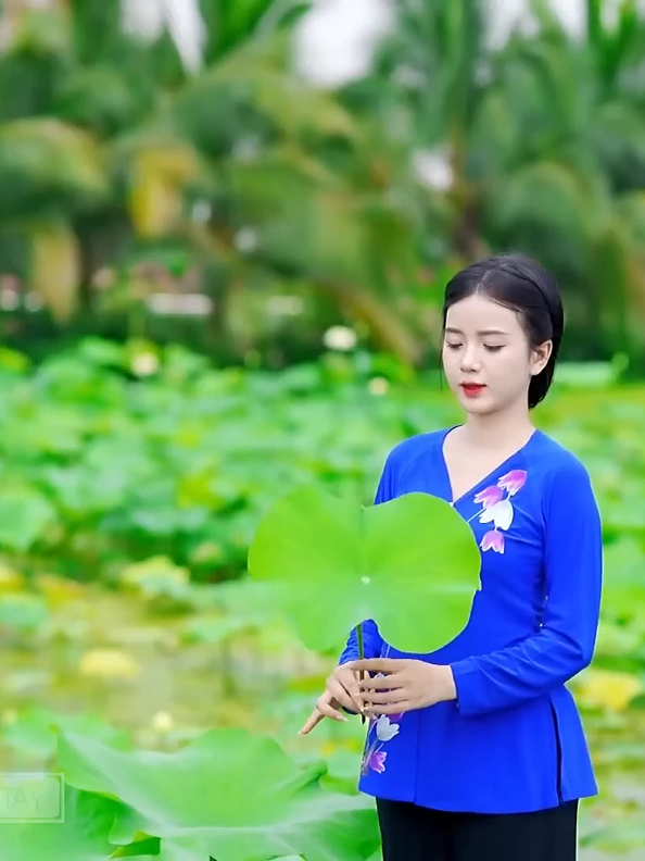 @Huỳnh Văn Được