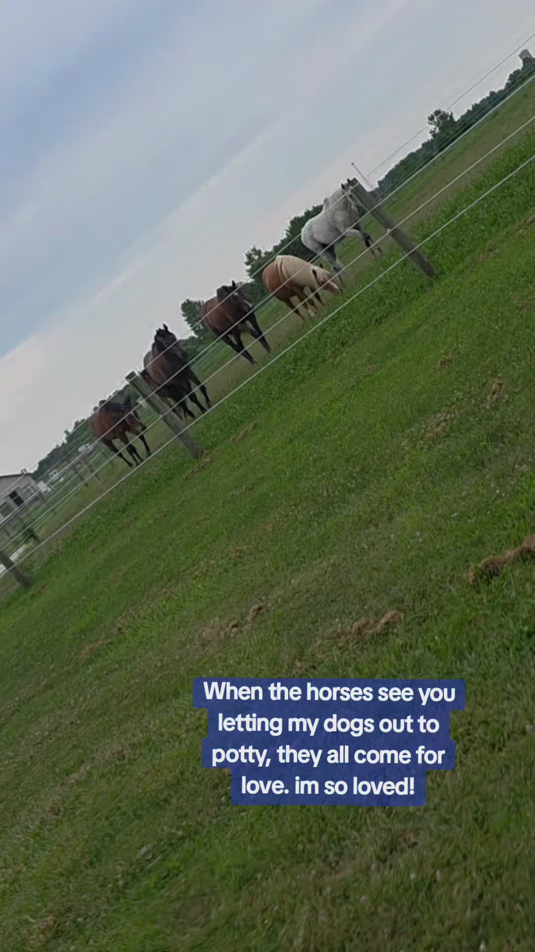 @Andrea West