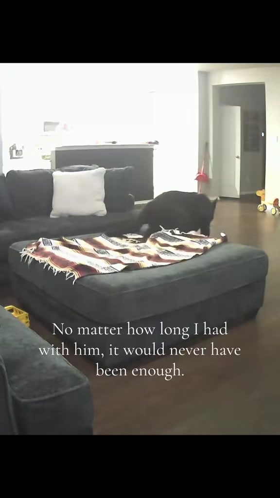 @T