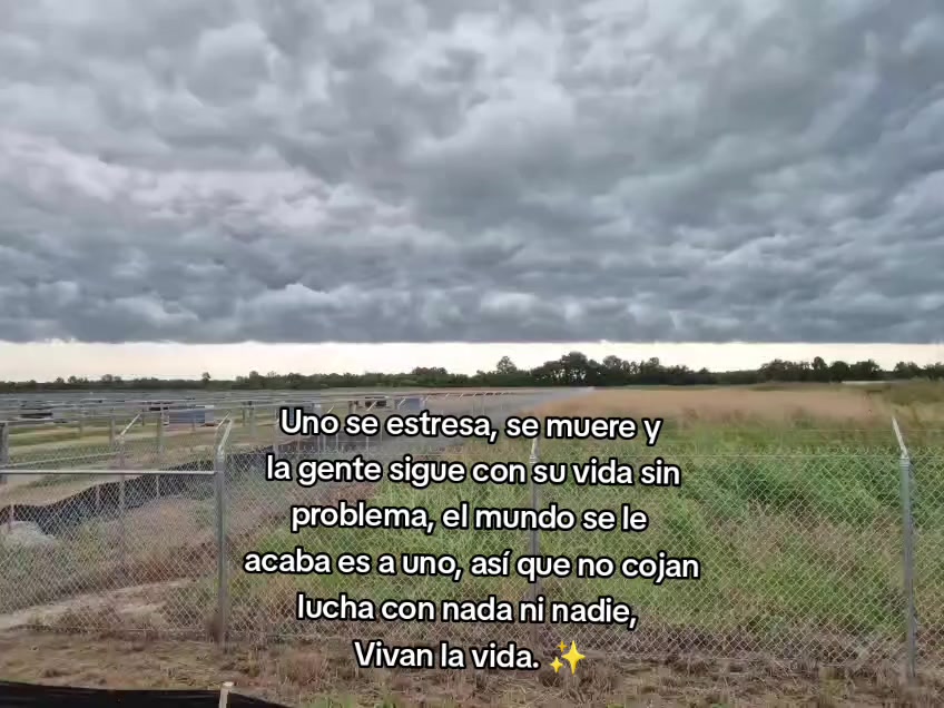 @Yunely ✨