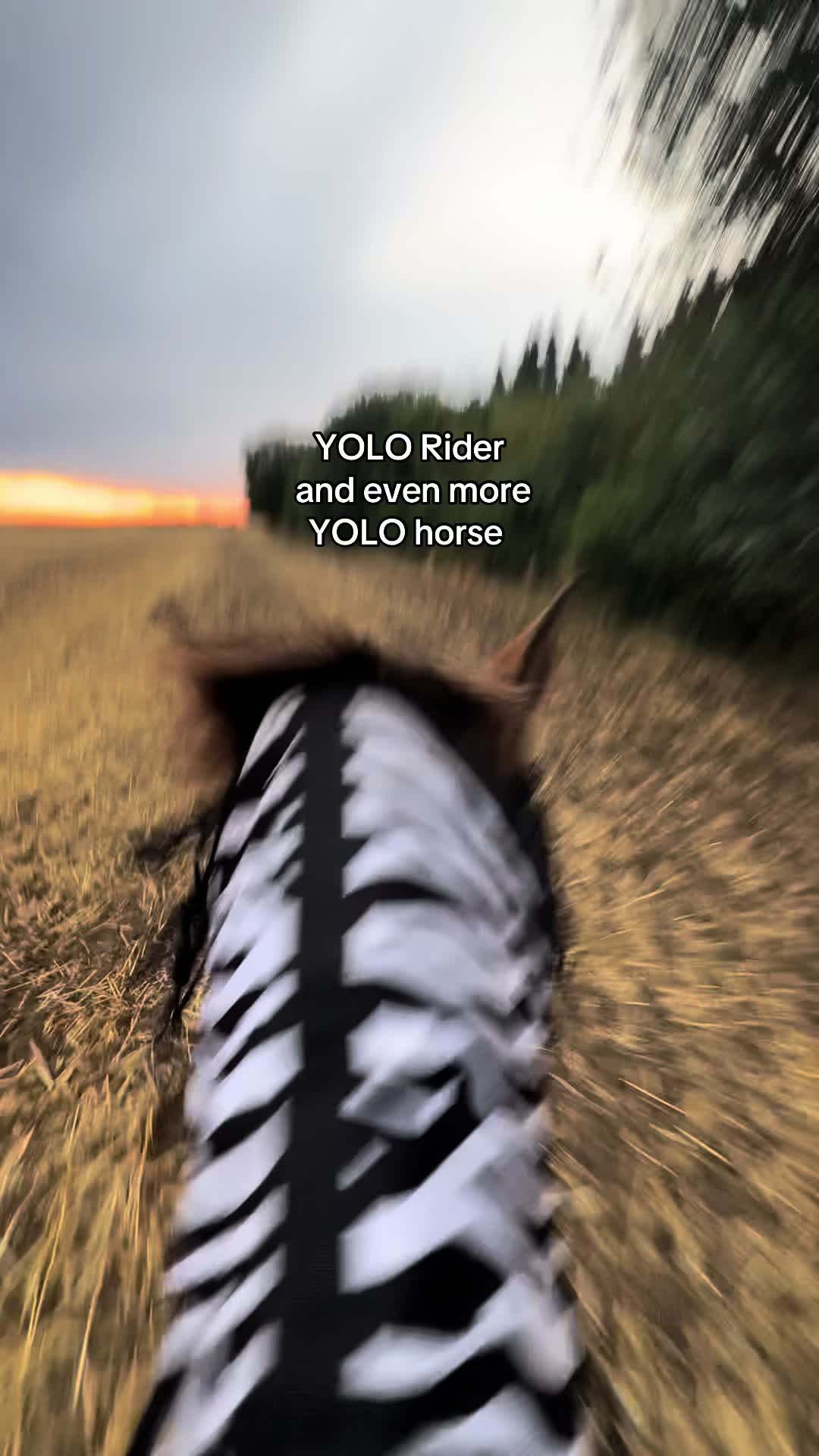 @𝖬𝖺𝗒𝖺 ❦