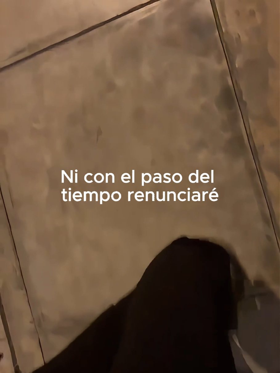 @Tamauta