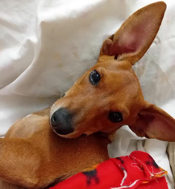 @Ana Chiodi
