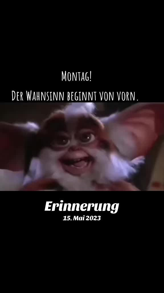 @BrinckmannMarcel