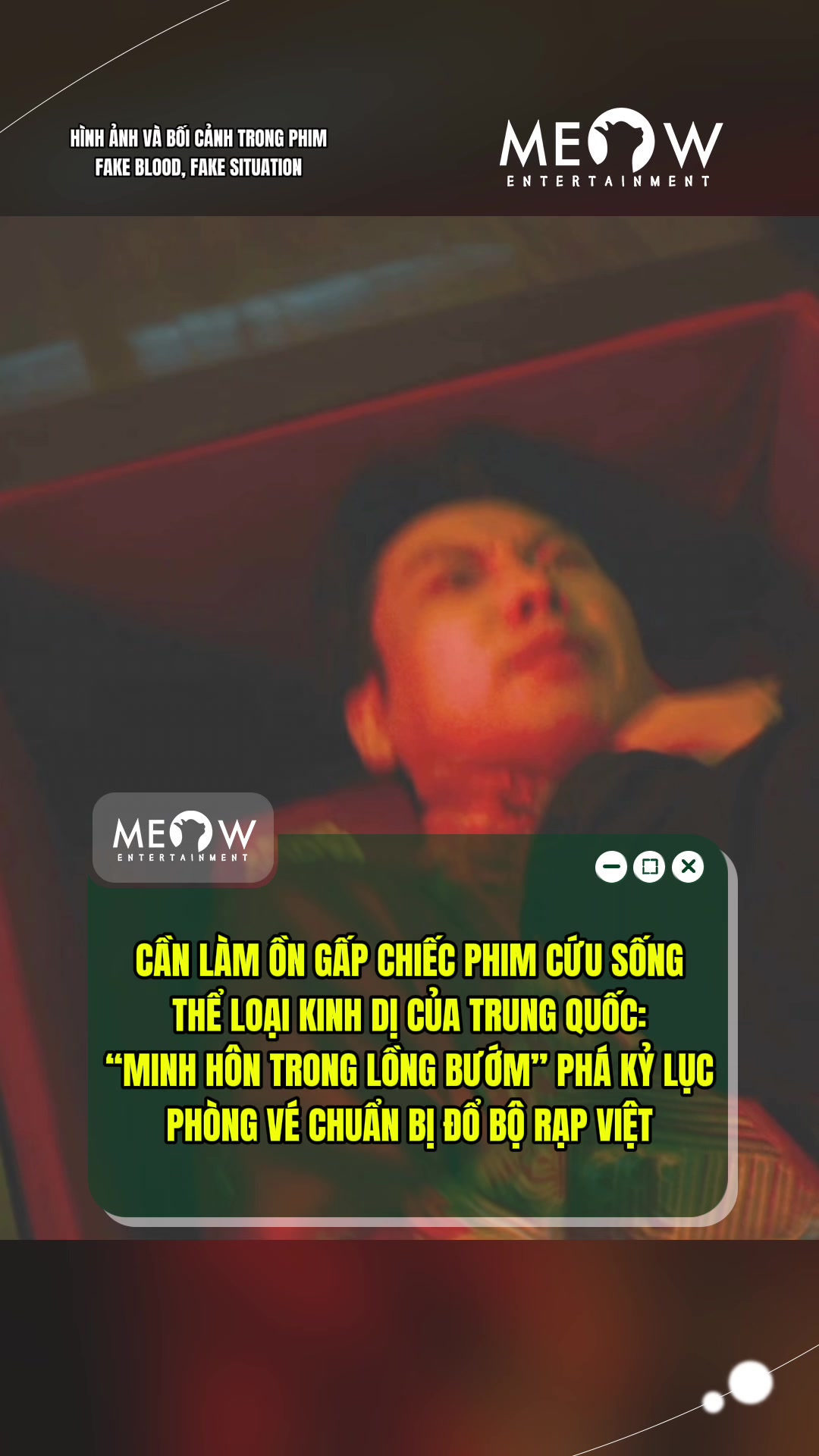 @MEOW ENTERTAINMENT