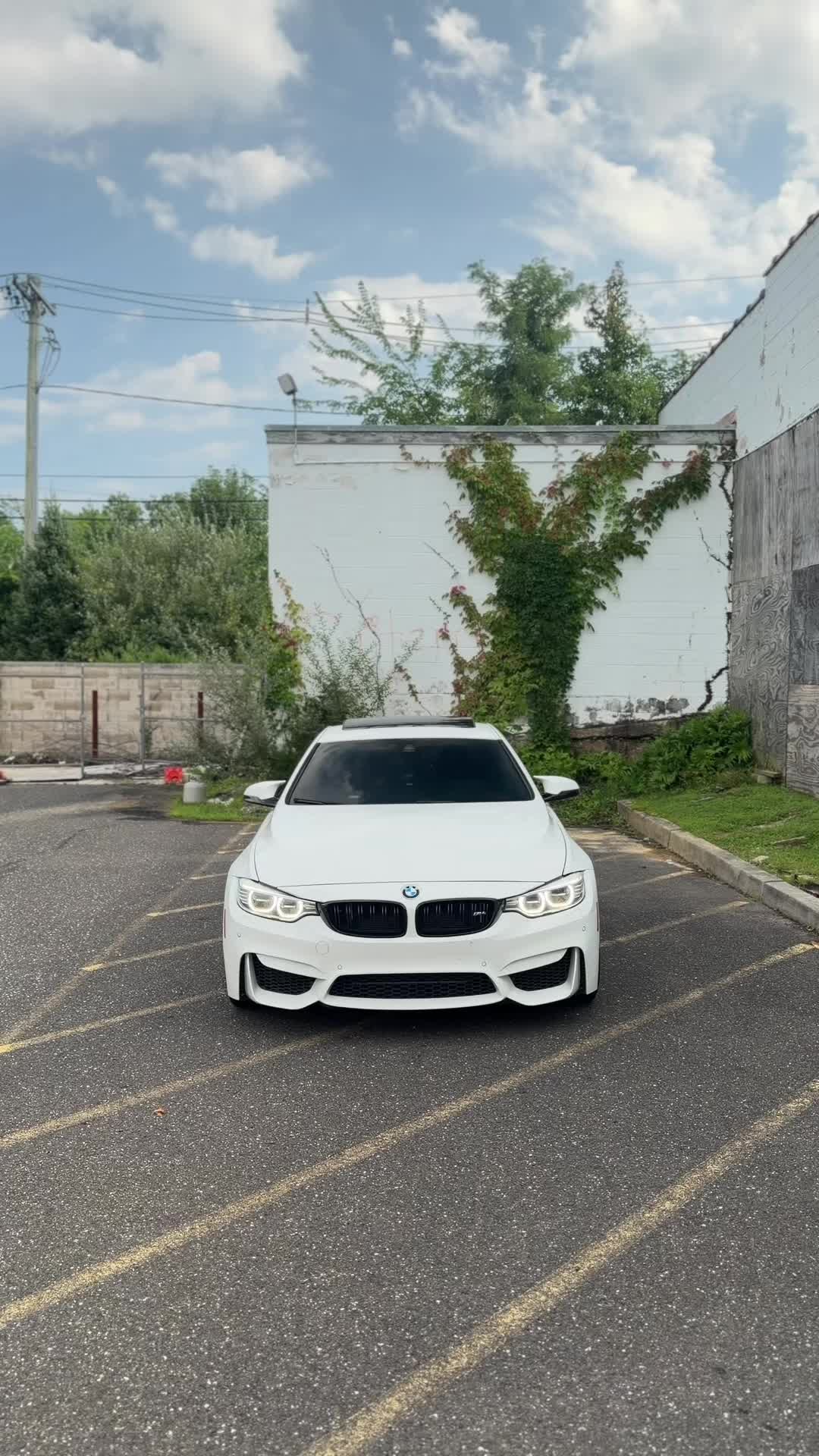 @alpinef8x