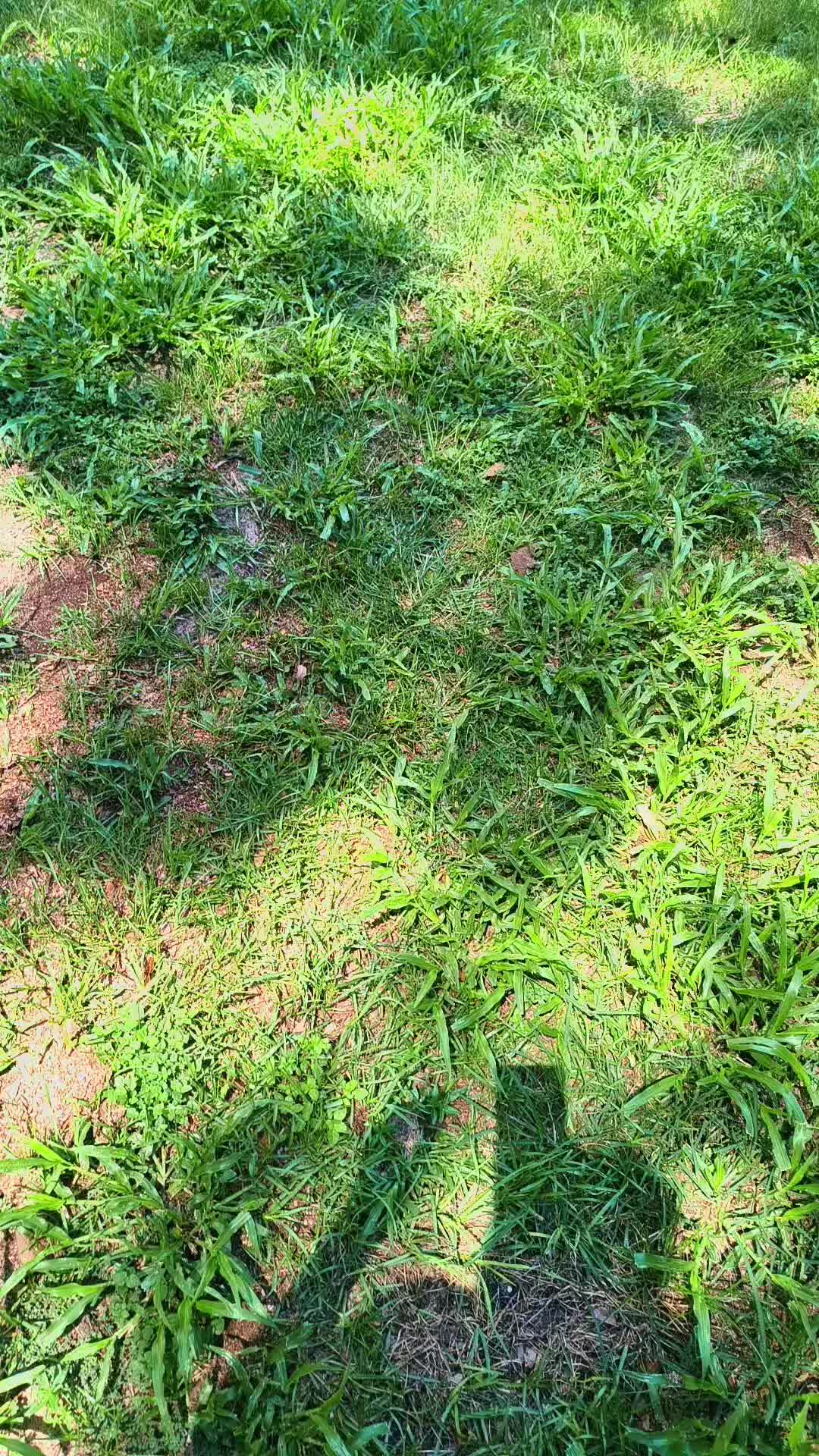 @TMAC❌️ tammymcconnell76