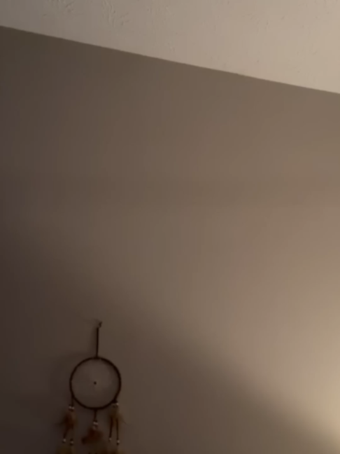 @Hamster_story