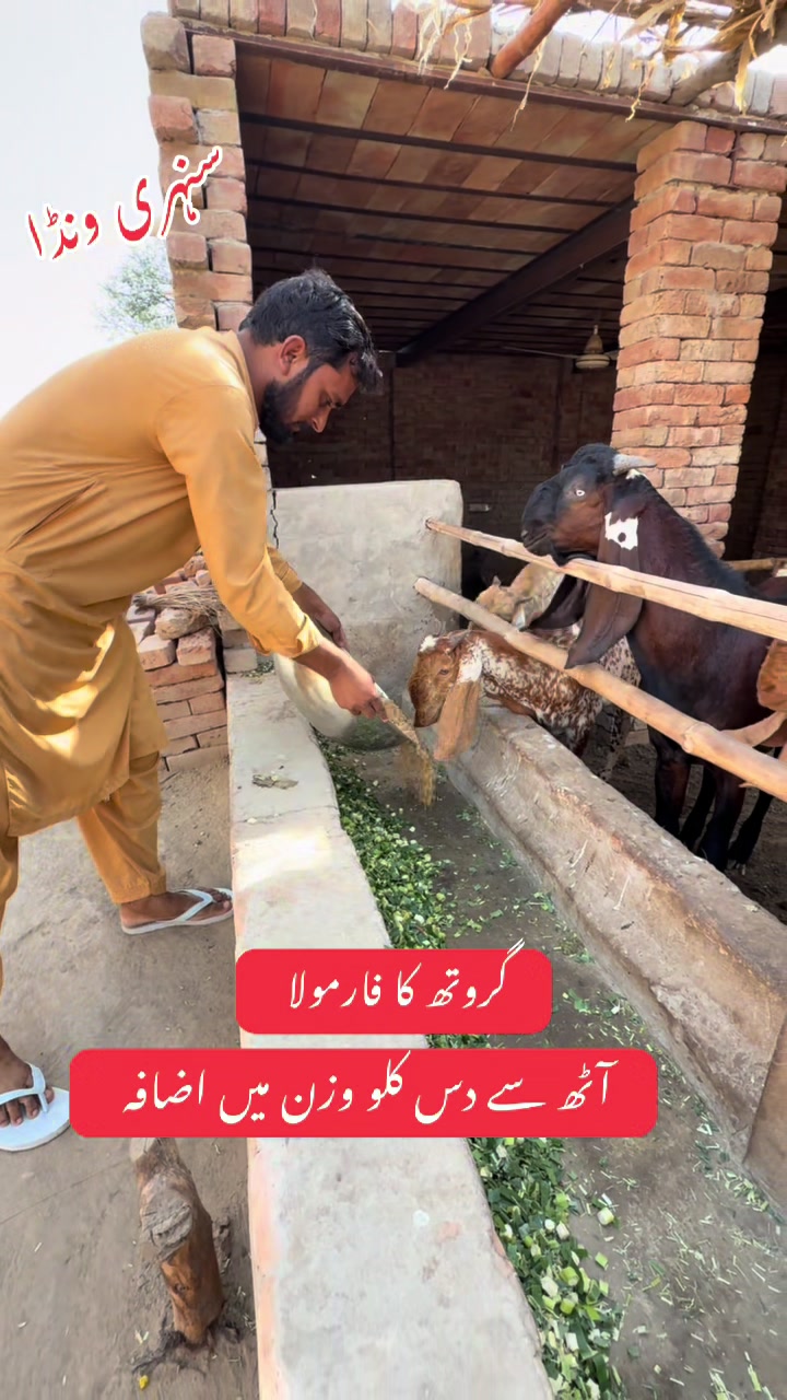 @Dr.Mohsin