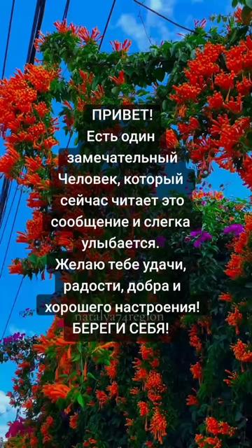 @natalya74region