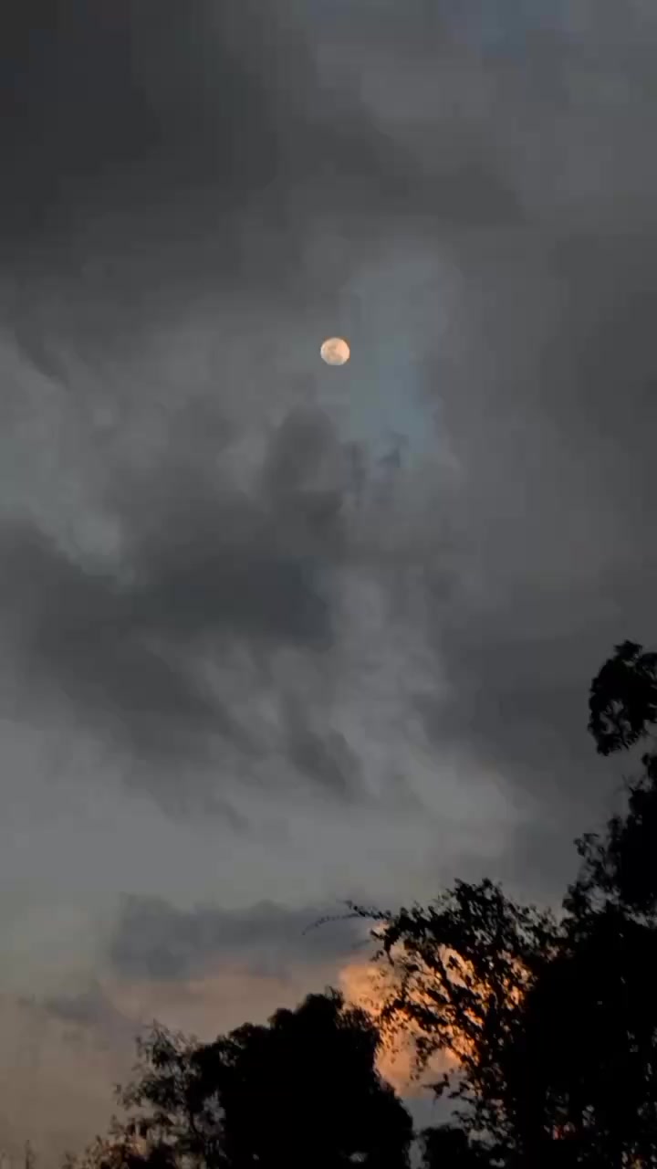 @𝐒ᡣ𐭩࣪⋆