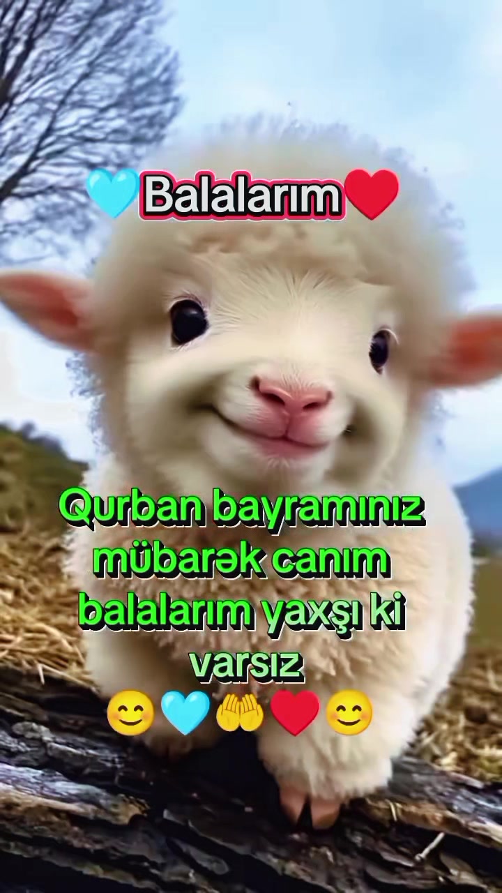@♡𝙈𝙞𝙣𝙣𝙤𝙨̧➷♡🌸