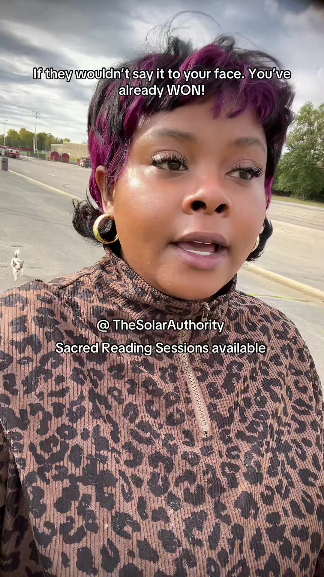 @TheSolarAuthority