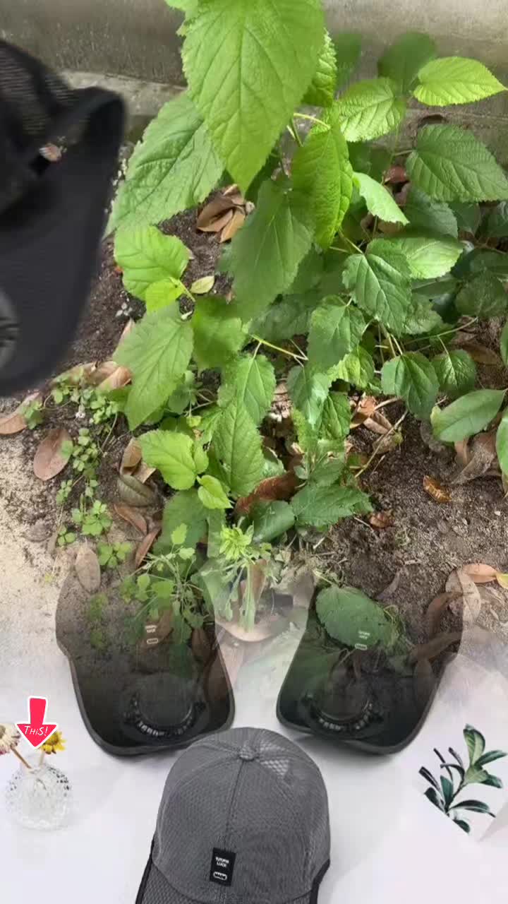 @tới đồ dùng