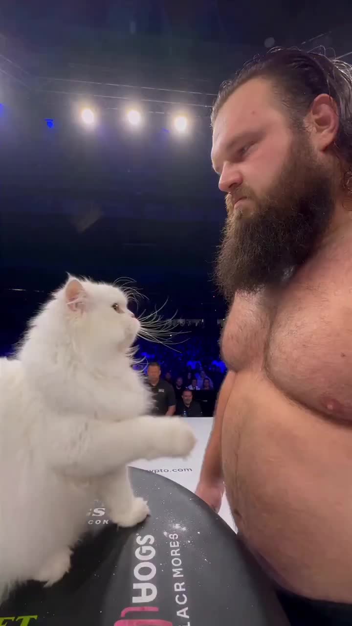 @brightwhiteowl69