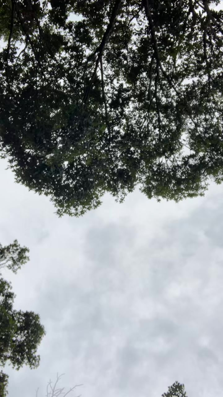 @samjhanabohora
