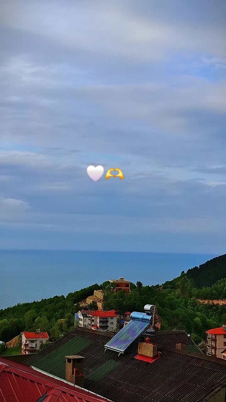 @Ayşegülgünter