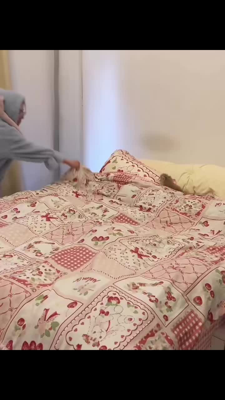 @Abram™️