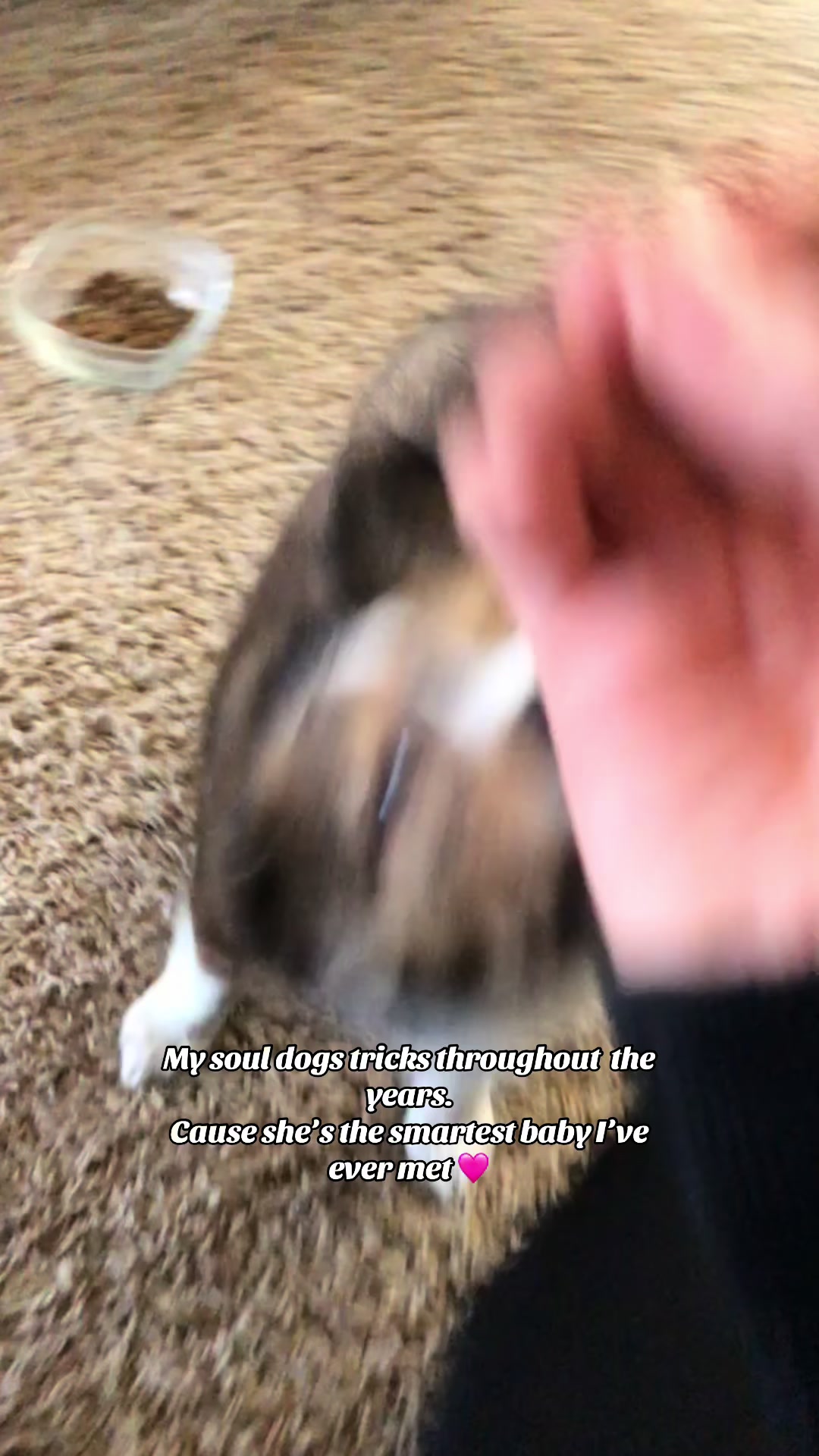 @Josie