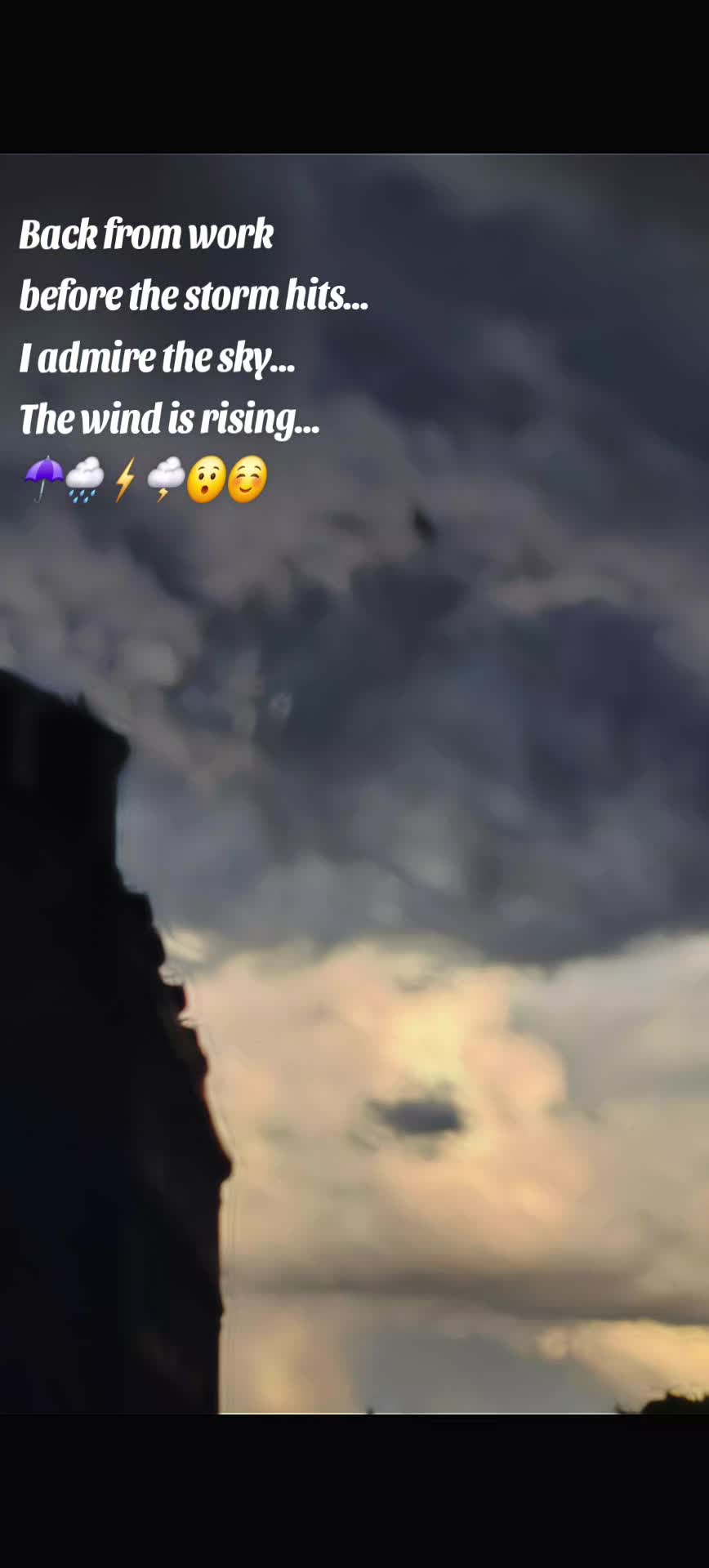 @Elfine2570