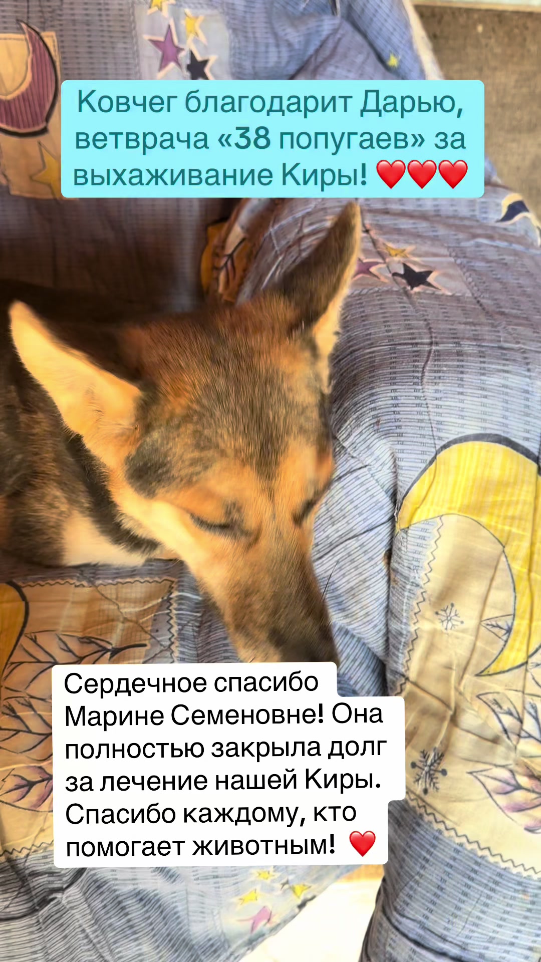 @Приют Ковчег Кыргызстан