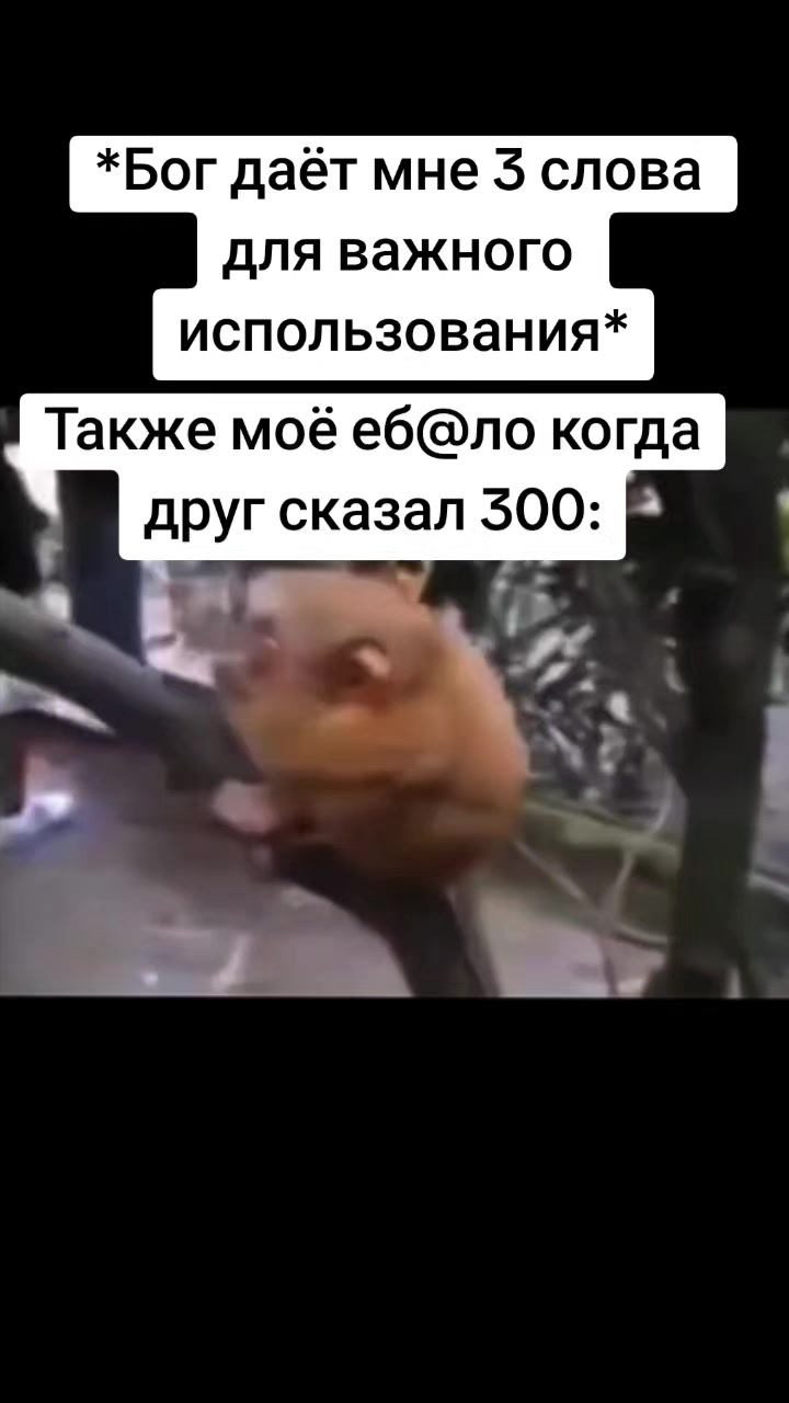 @Mr.Emirade